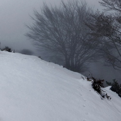 13-11-22 Uribarri Nagusi-Mendiola